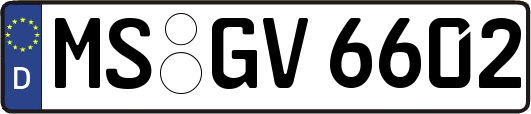 MS-GV6602