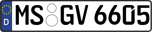 MS-GV6605