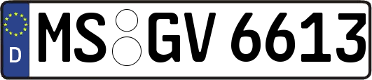 MS-GV6613