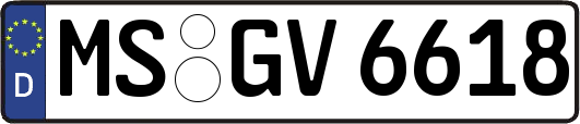MS-GV6618