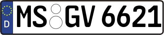 MS-GV6621