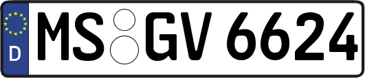 MS-GV6624