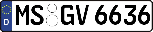MS-GV6636