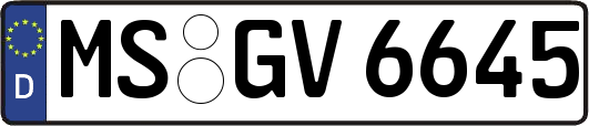 MS-GV6645