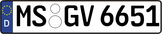 MS-GV6651
