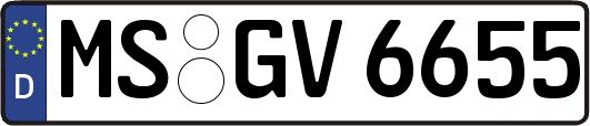 MS-GV6655