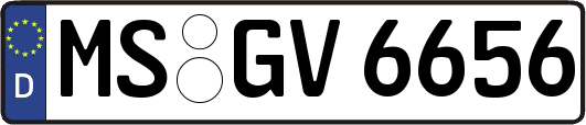 MS-GV6656