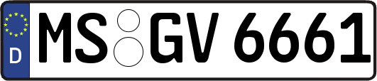 MS-GV6661