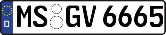 MS-GV6665