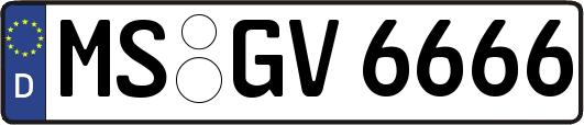 MS-GV6666