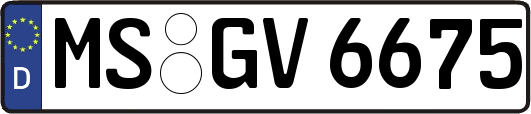 MS-GV6675
