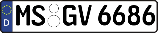 MS-GV6686