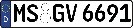 MS-GV6691