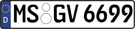 MS-GV6699
