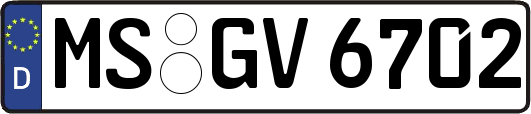 MS-GV6702