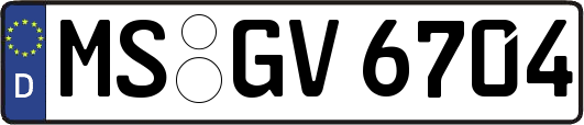 MS-GV6704