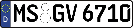 MS-GV6710