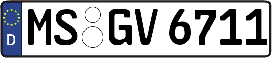 MS-GV6711
