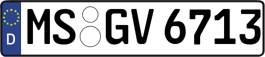 MS-GV6713