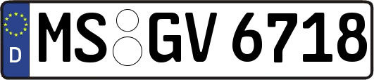 MS-GV6718