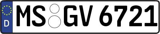 MS-GV6721