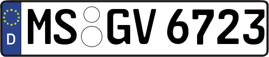 MS-GV6723