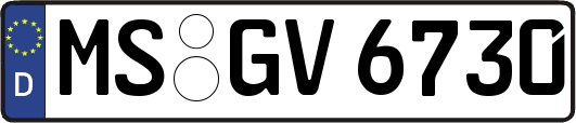 MS-GV6730