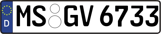 MS-GV6733
