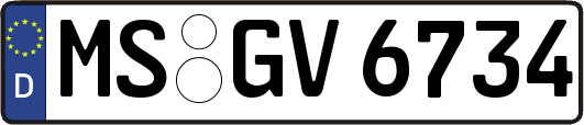 MS-GV6734