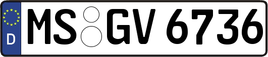 MS-GV6736