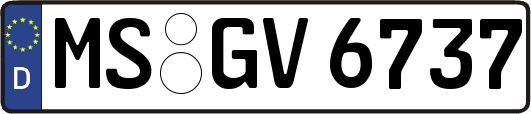 MS-GV6737