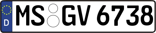 MS-GV6738