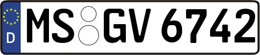 MS-GV6742