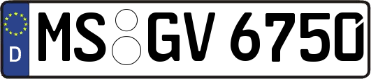 MS-GV6750