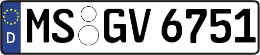 MS-GV6751