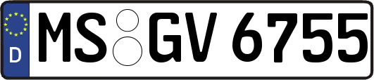MS-GV6755