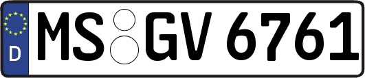 MS-GV6761