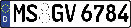 MS-GV6784