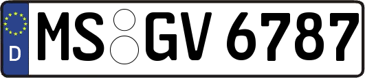 MS-GV6787