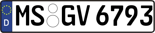 MS-GV6793