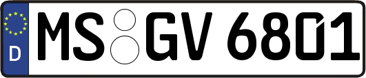 MS-GV6801
