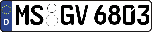 MS-GV6803
