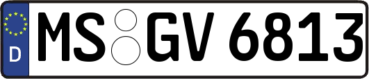 MS-GV6813