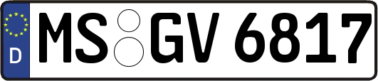MS-GV6817