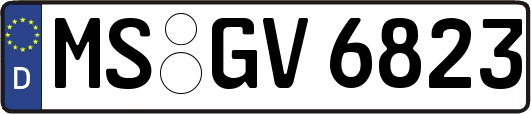MS-GV6823
