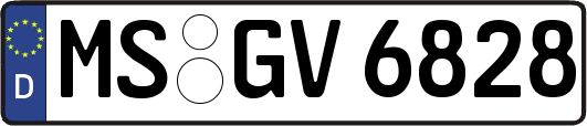 MS-GV6828