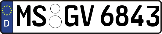 MS-GV6843