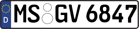 MS-GV6847