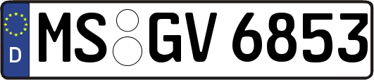 MS-GV6853