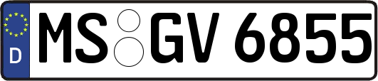 MS-GV6855